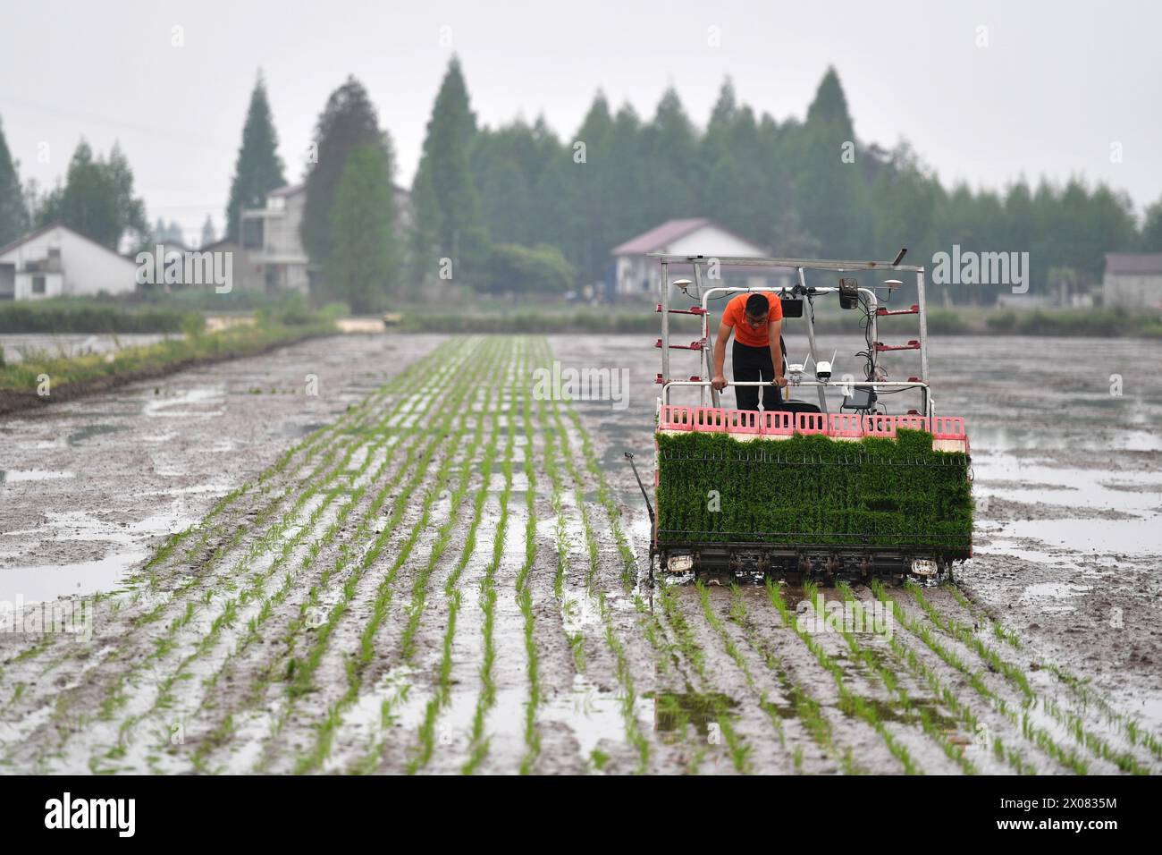 Yiyang, China's Hunan Province. 10th Apr, 2024. An autonomous rice ...