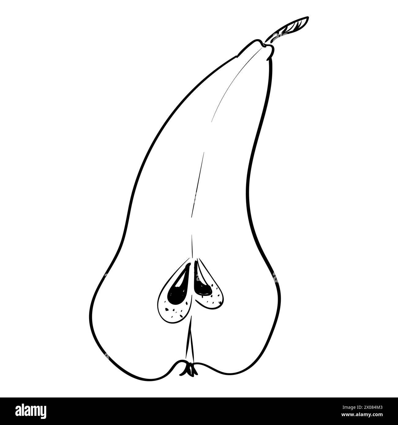 Pear Contour Line Pears hand drawn outline. The black line art on a white background ...