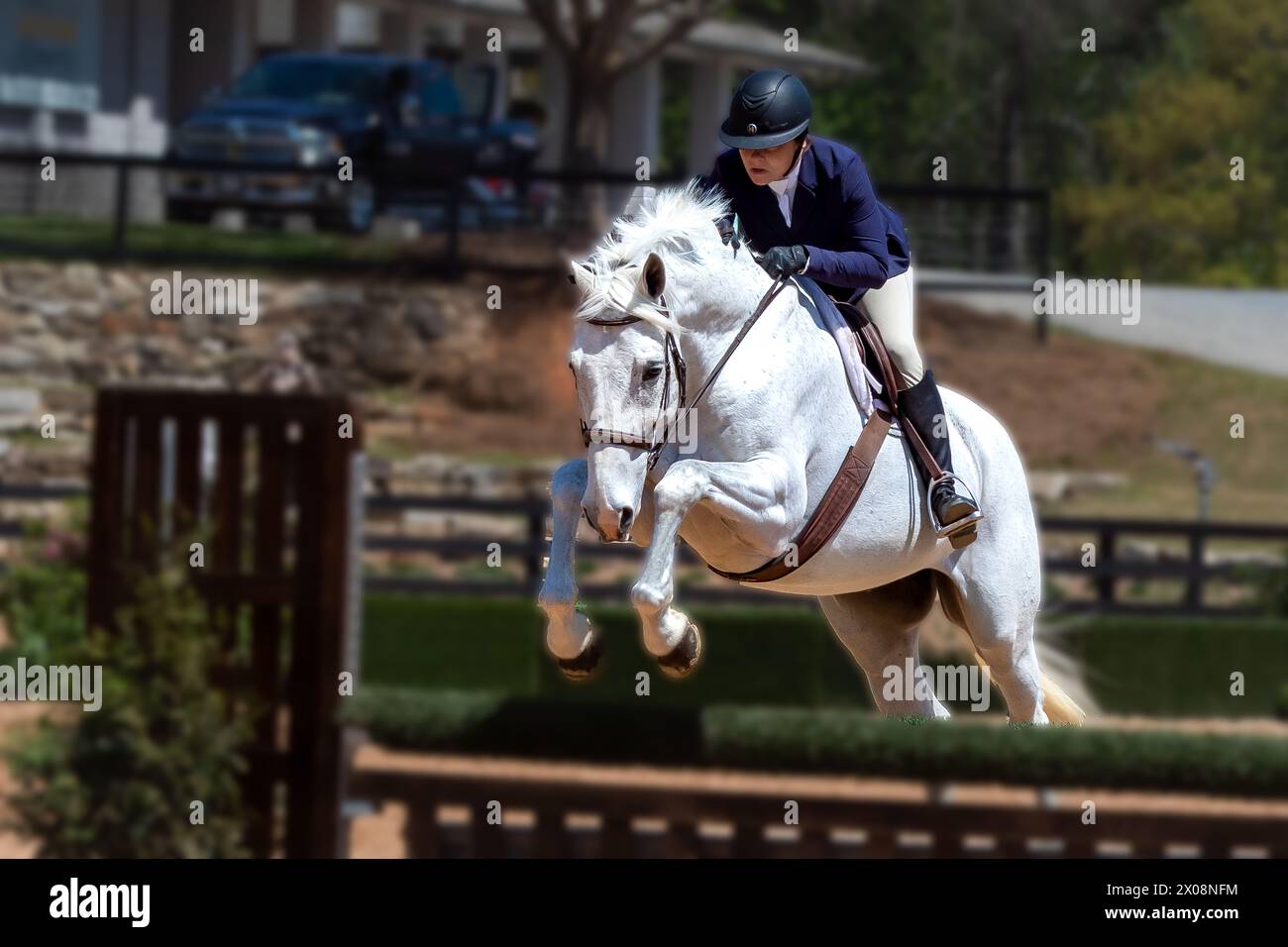 Show Jumping Stock Photo