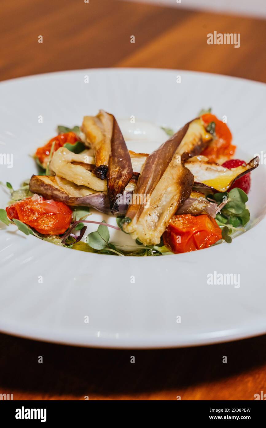 Roasted eggplant and cherry tomatoes artfully arranged on a bed of greens, creating a visually appealing gourmet salad Stock Photo