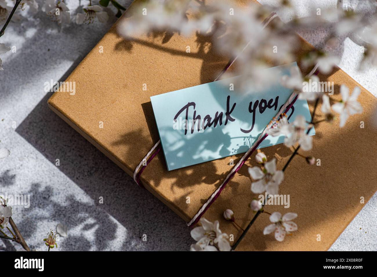 A heartfelt thank you note rests on a kraft paper gift box, delicately surrounded by the soft petals and shadows of cherry blossoms, evoking a sense o Stock Photo