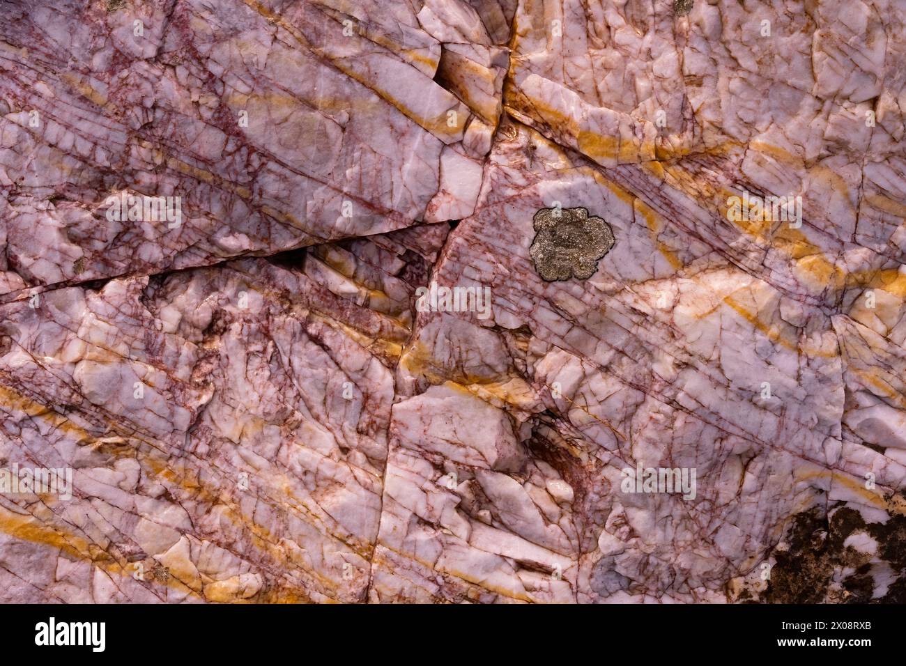 Tactile formation hi-res stock photography and images - Alamy