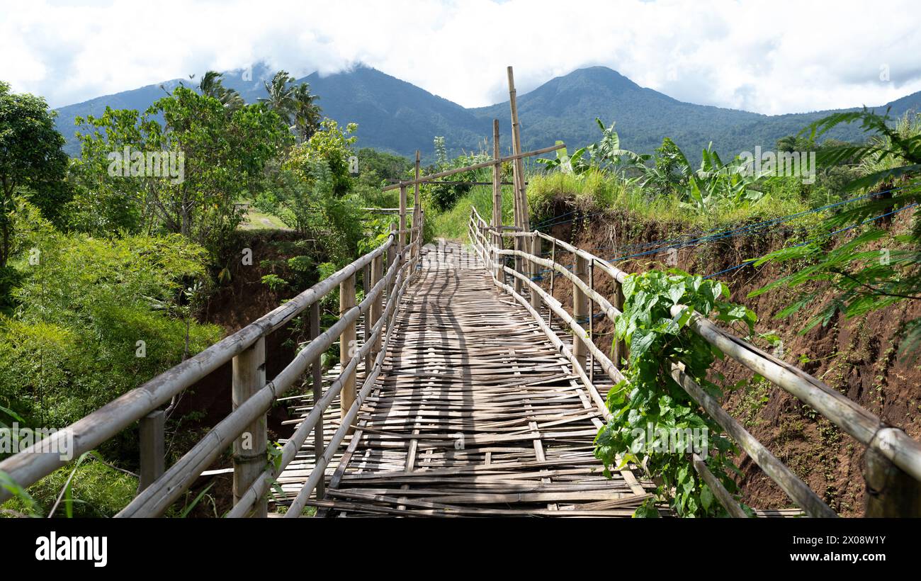 Rustic Ravines Rustic bamboo bridge crossing a lush ravine with Mount Agung shrouded ...