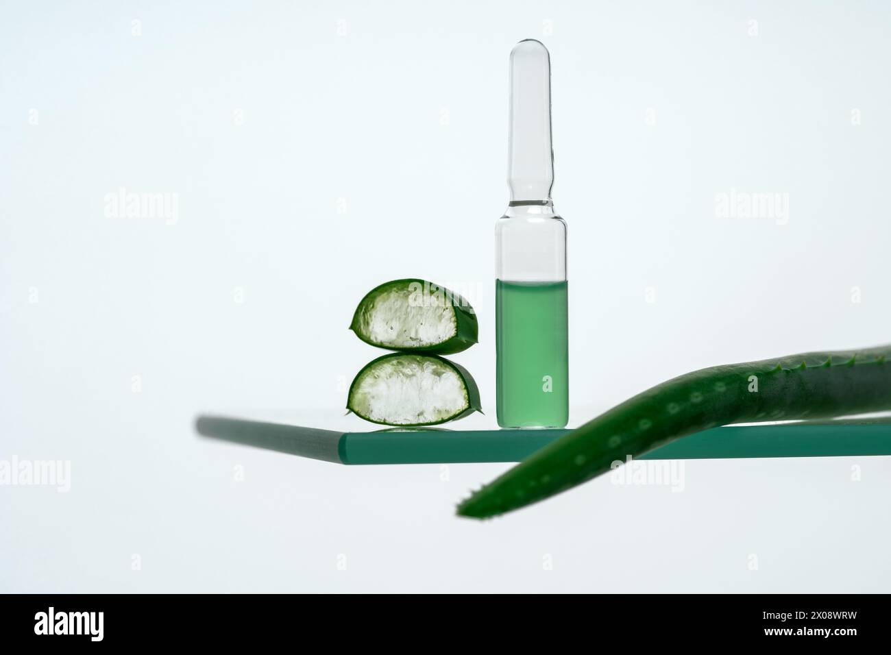 body shop aloe vera The Body Shop Aloe Soothing Night Cream 50 ml main image 0
