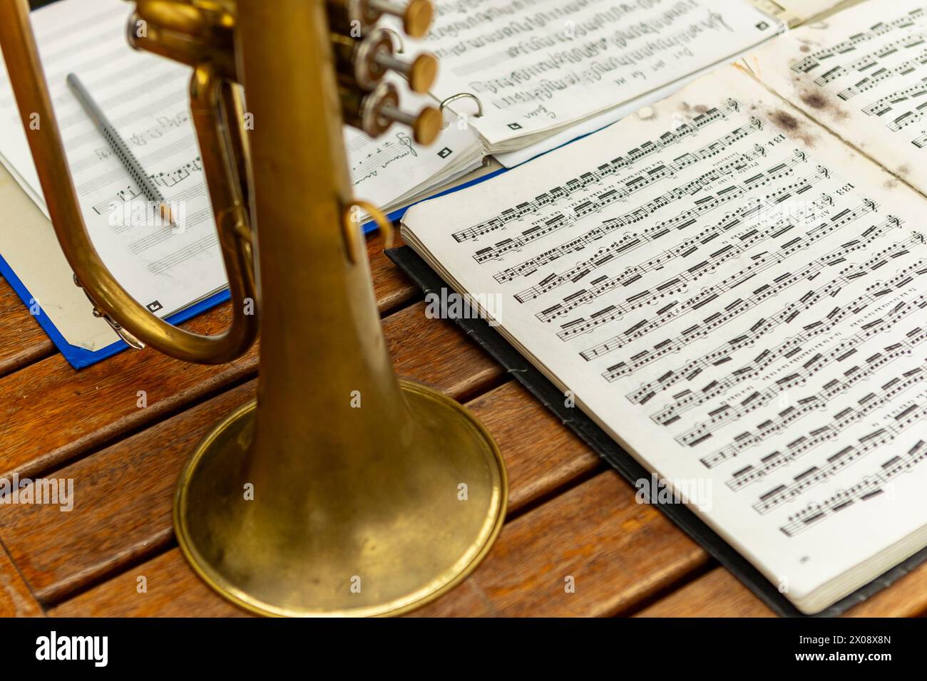 An inspirational view of a onearmed trumpeter's musical journey, as