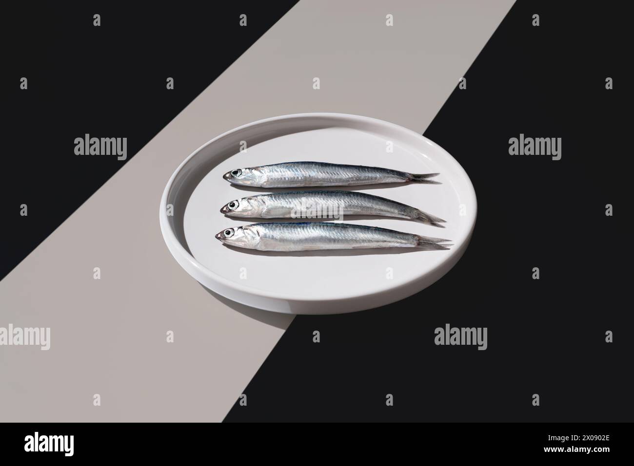 Three fresh anchovies line up neatly on a white plate set against a dual-tone background, creating a striking visual effect Stock Photo