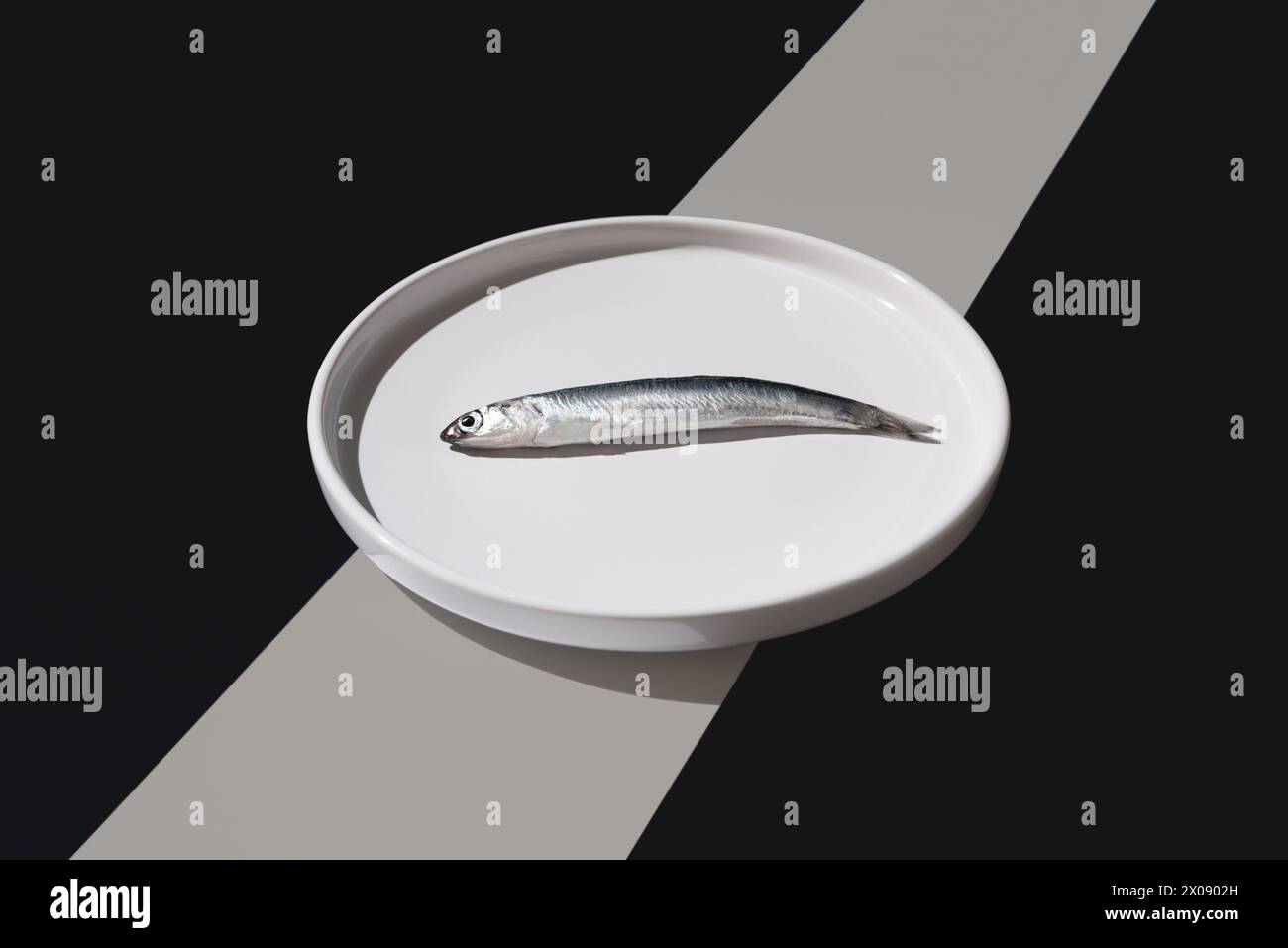 A single anchovy rests on a pristine white plate, overlaid with striking geometric shadows that create a dynamic contrast Stock Photo