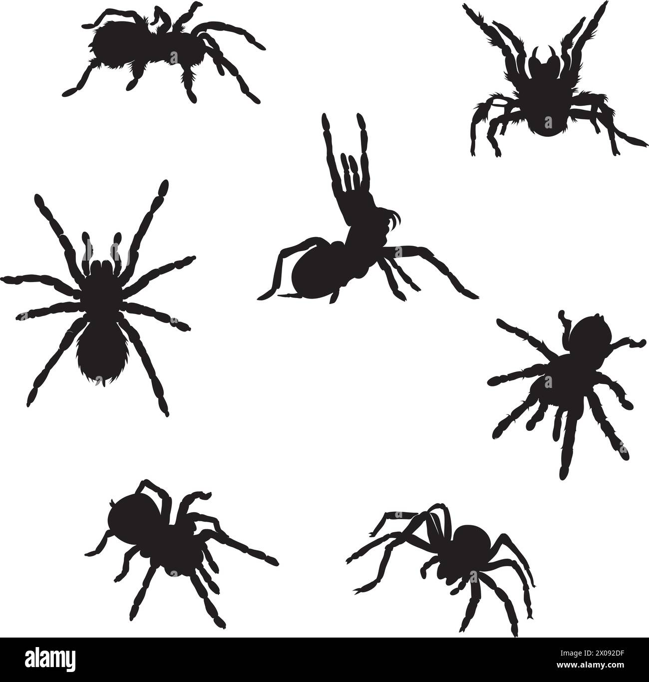 spider, tarantula, various images, vector, black silhouette Stock Vector
