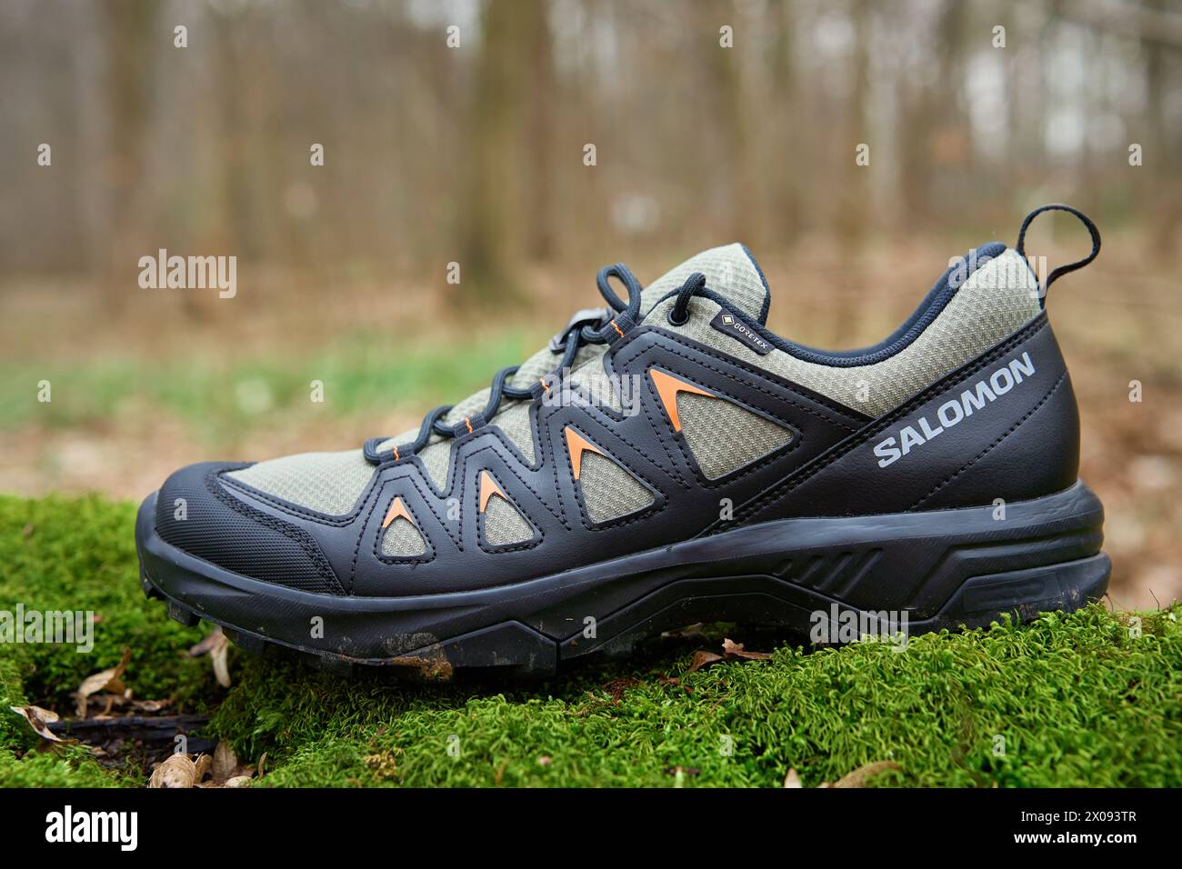 salomon walking boots