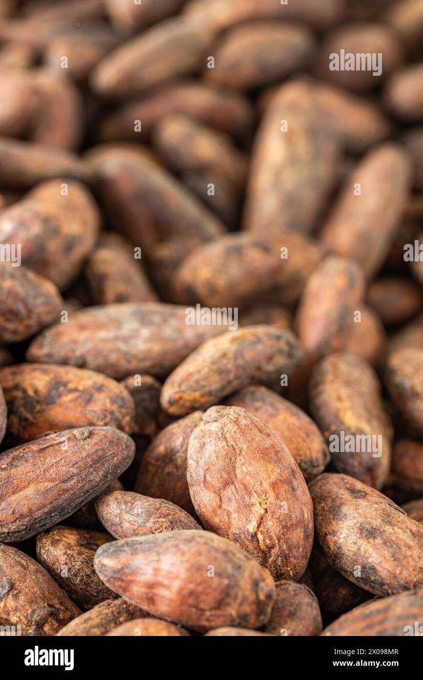 Dry cocoa seeds. Organic healthy organic food, Concept, cocoa prices