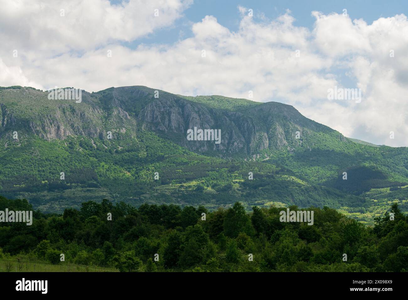 Landscape nature in Serbia with Suva Planina in background with lot of green in frame Stock Photo