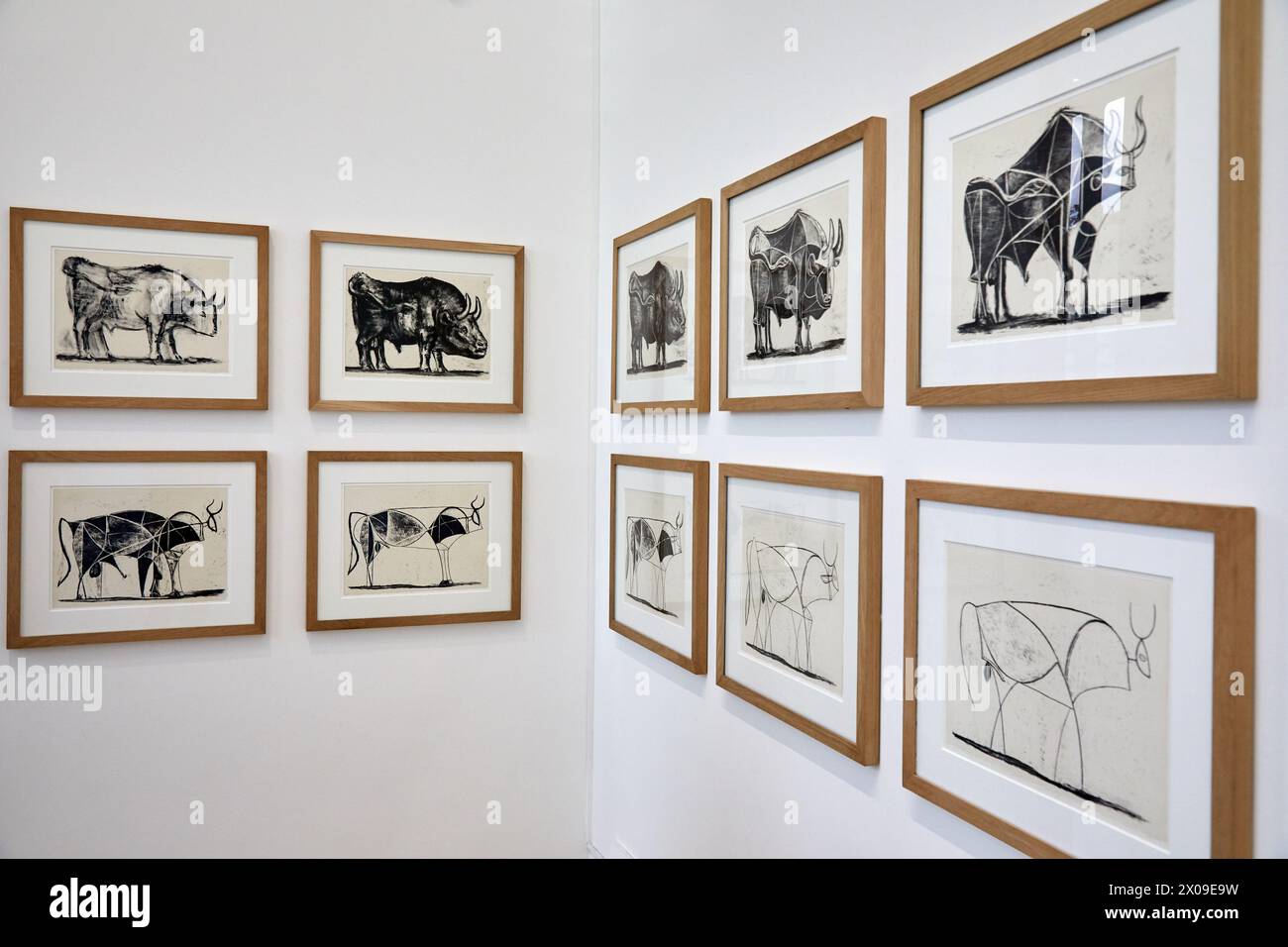 Le Taureau The Bull 1945 1946 Pablo Picasso Picasso Museum le-taureau-the-bull-1945-1946-pablo-picasso-picasso-museum