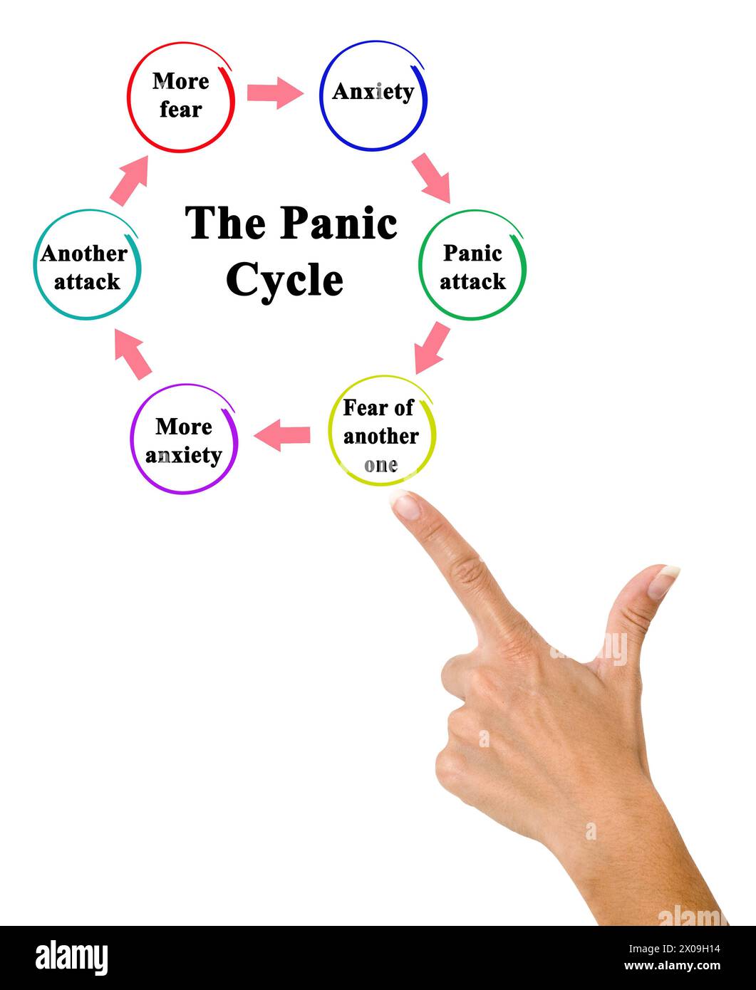 six-components-of-panic-cycle-stock-photo-alamy