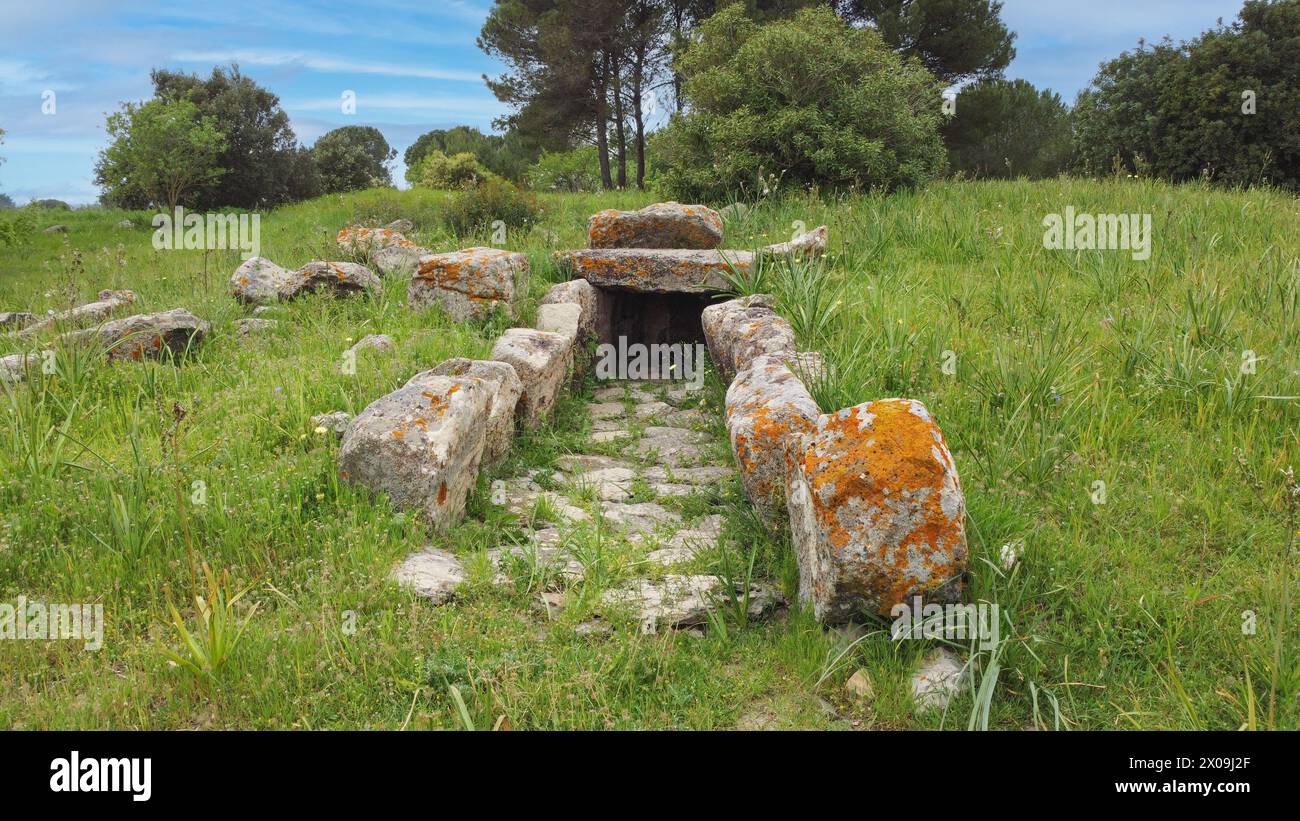 Tomb of the Nuragic Giants sa sedda e Sa Caudeba in Collinas in central Sardinia Stock Photo