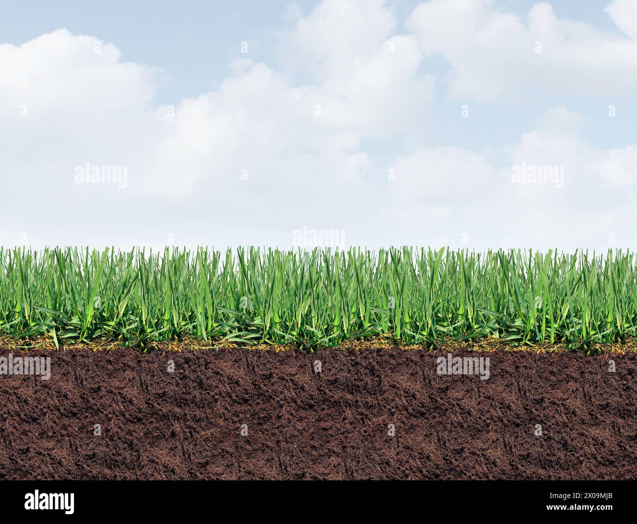 Healthy Lawn Border Background as a Perfect turf and healthy grass with good lawncare for controlling weeds and fertilizing and aerating a green yard Stock Photo