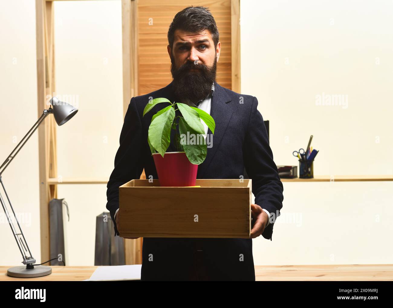 Frustrated employee leaving office with box of his belongings. Getting fired. Bearded businessman in suit with box of his stuff. Last day at work Stock Photo