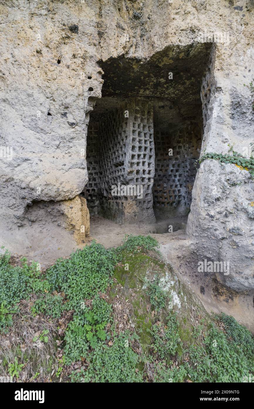 Ancient columbarium for breeding pigeons. Previously thought to be ...