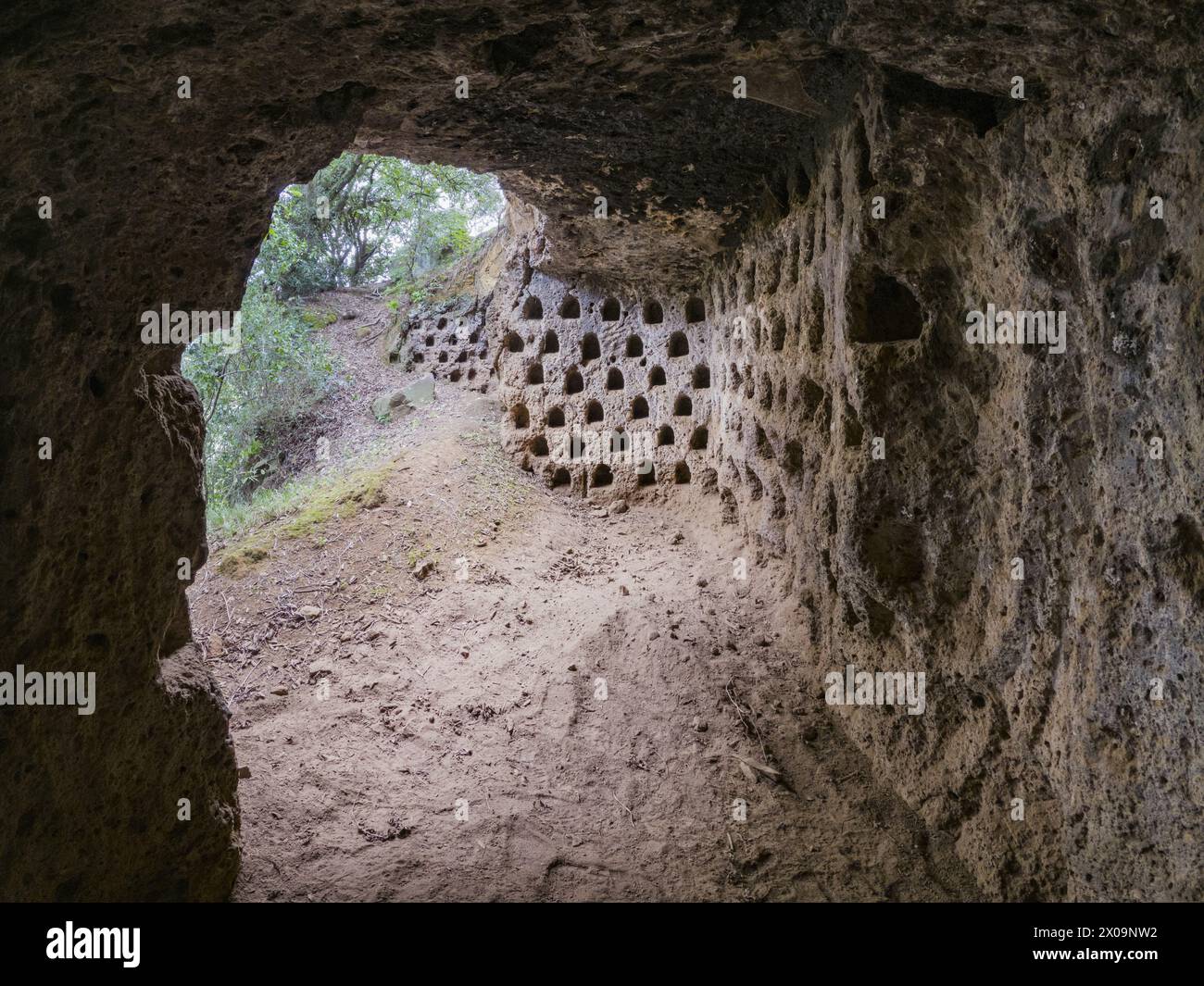 Ancient columbarium for breeding pigeons. Previously thought to be ...