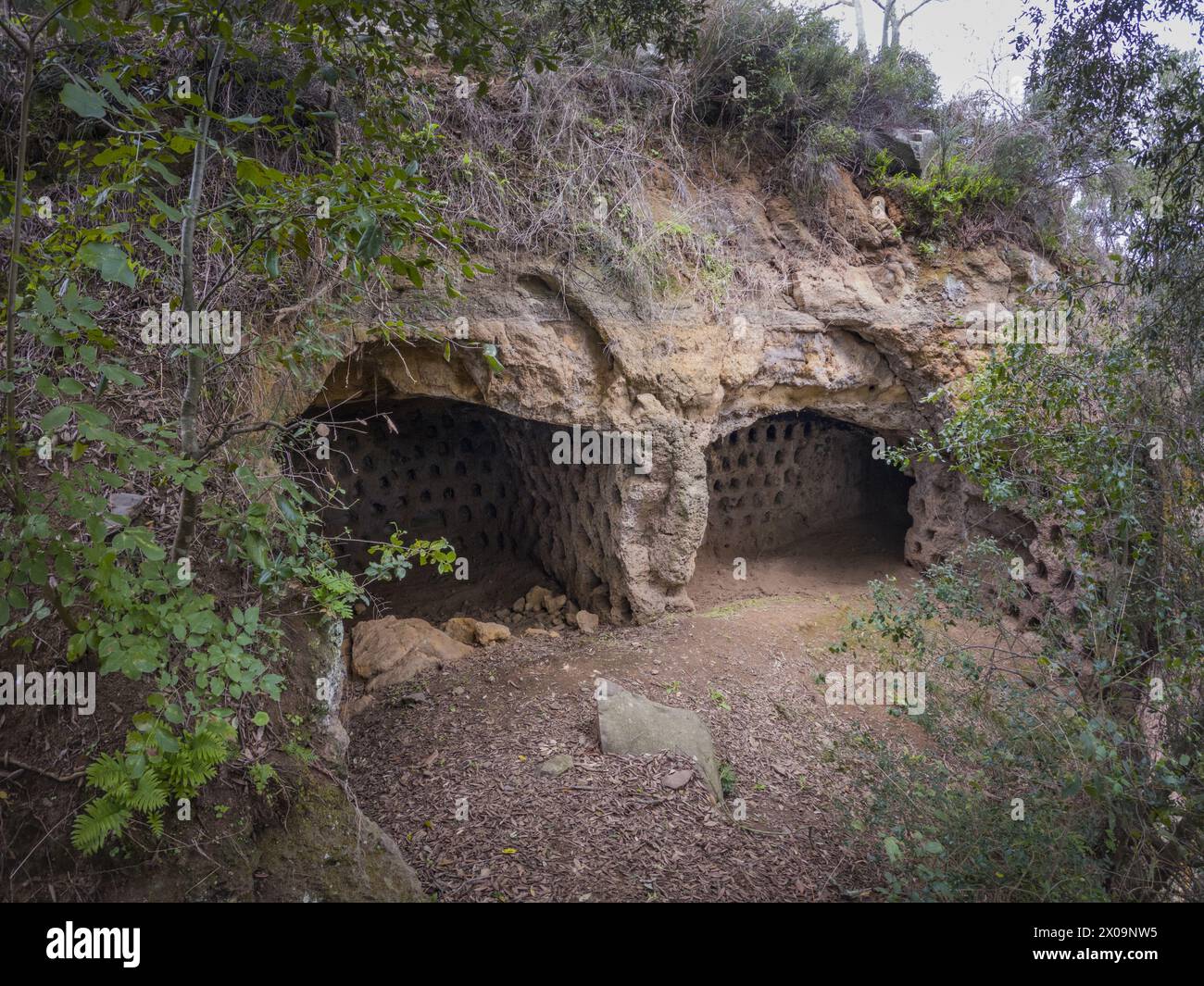 Ancient columbarium for breeding pigeons. Previously thought to be ...