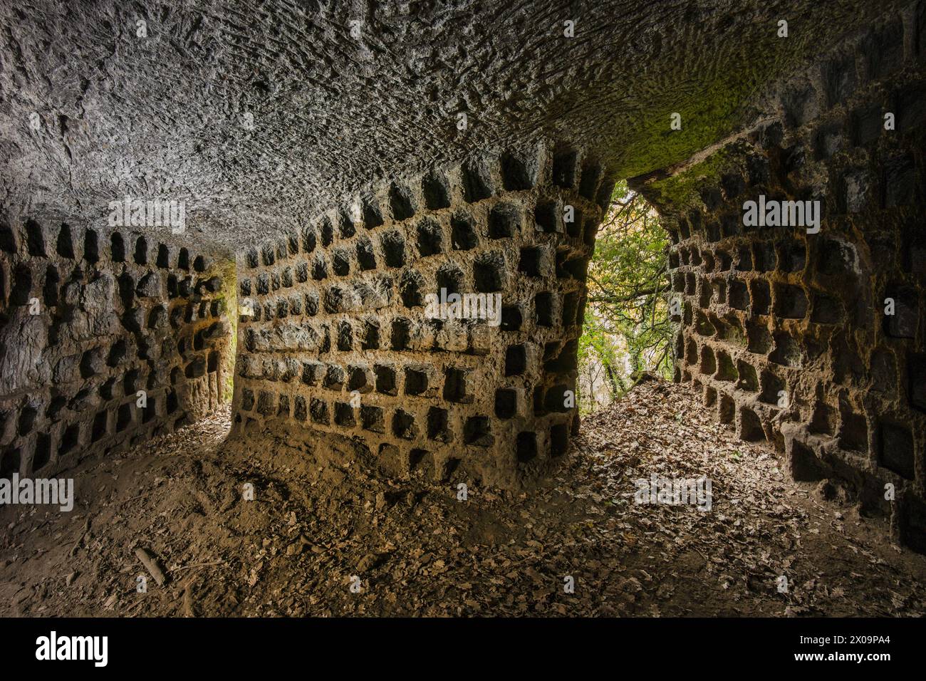 Ancient columbarium for breeding pigeons. Previously thought to be ...