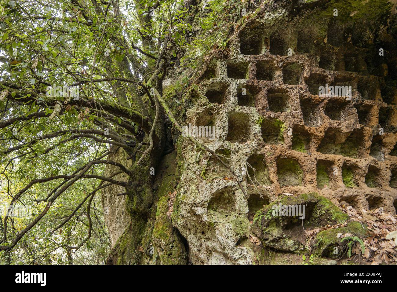 Ancient columbarium for breeding pigeons. Previously thought to be ...