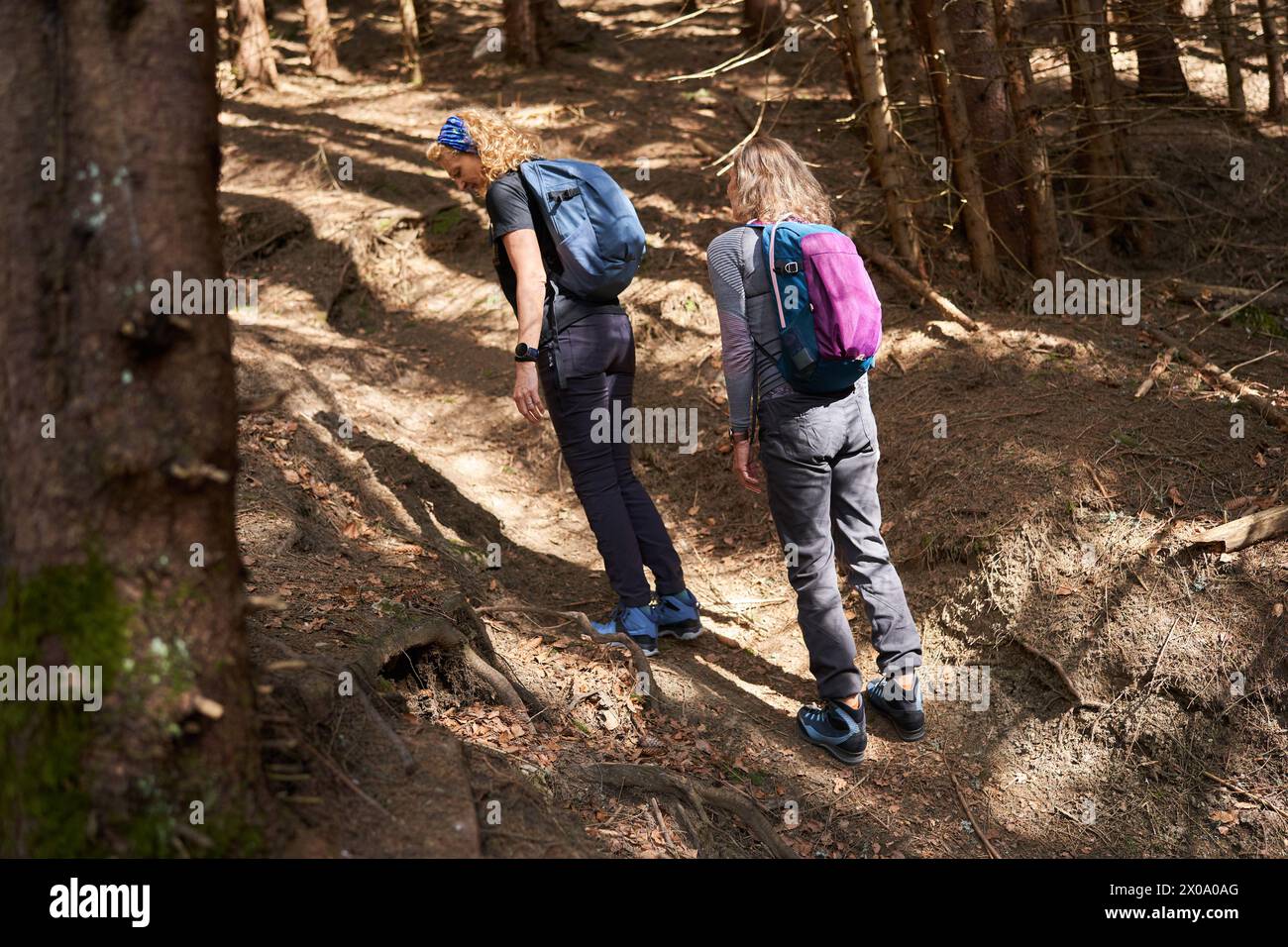 Women hikers with backpack as friends hiking in the mountains through the forest Stock Photo