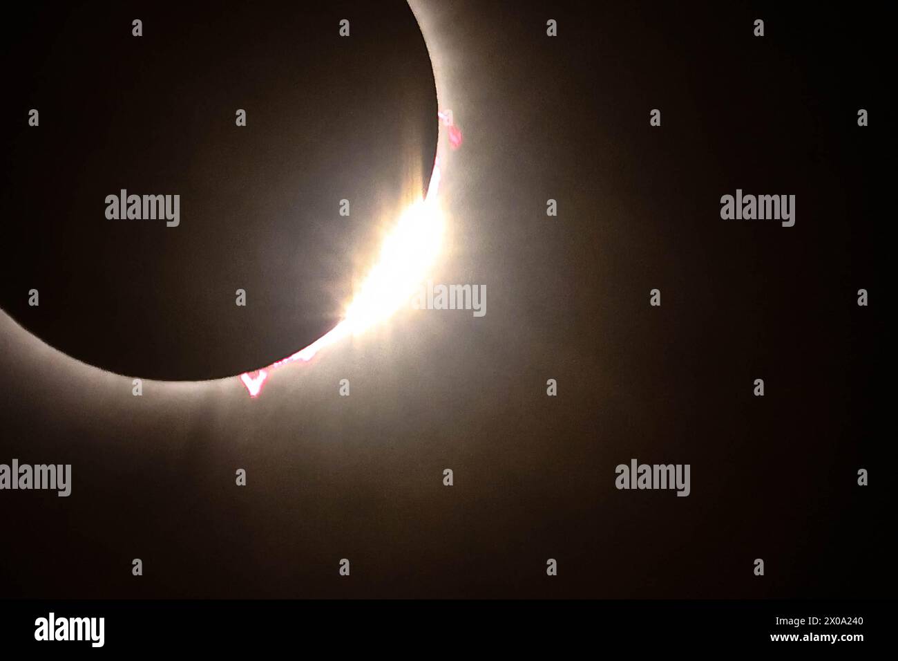 Greenwood, United States. 08th Apr, 2025. April 8th, 2025, Greenwood