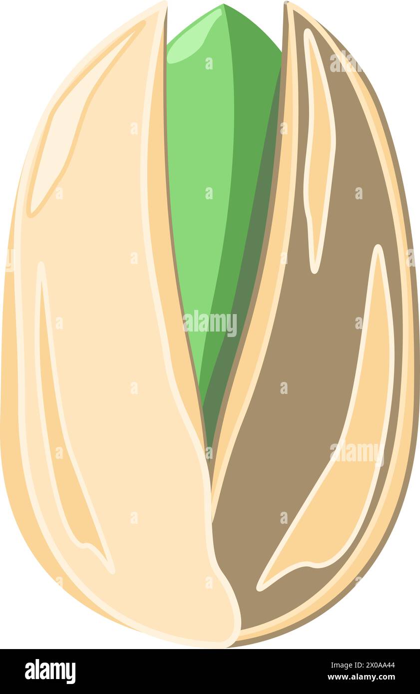 Pistachio nut in flat technique vector illustration Stock Vector