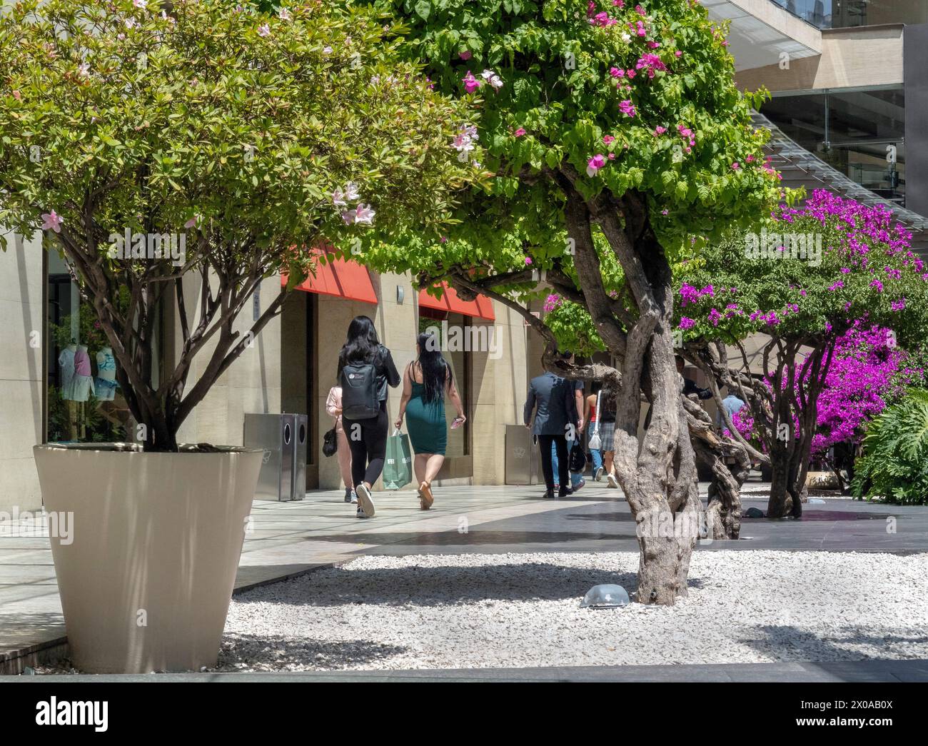 Antara Shopping Mall, Mexico City, Mexico Stock Photo - Alamy