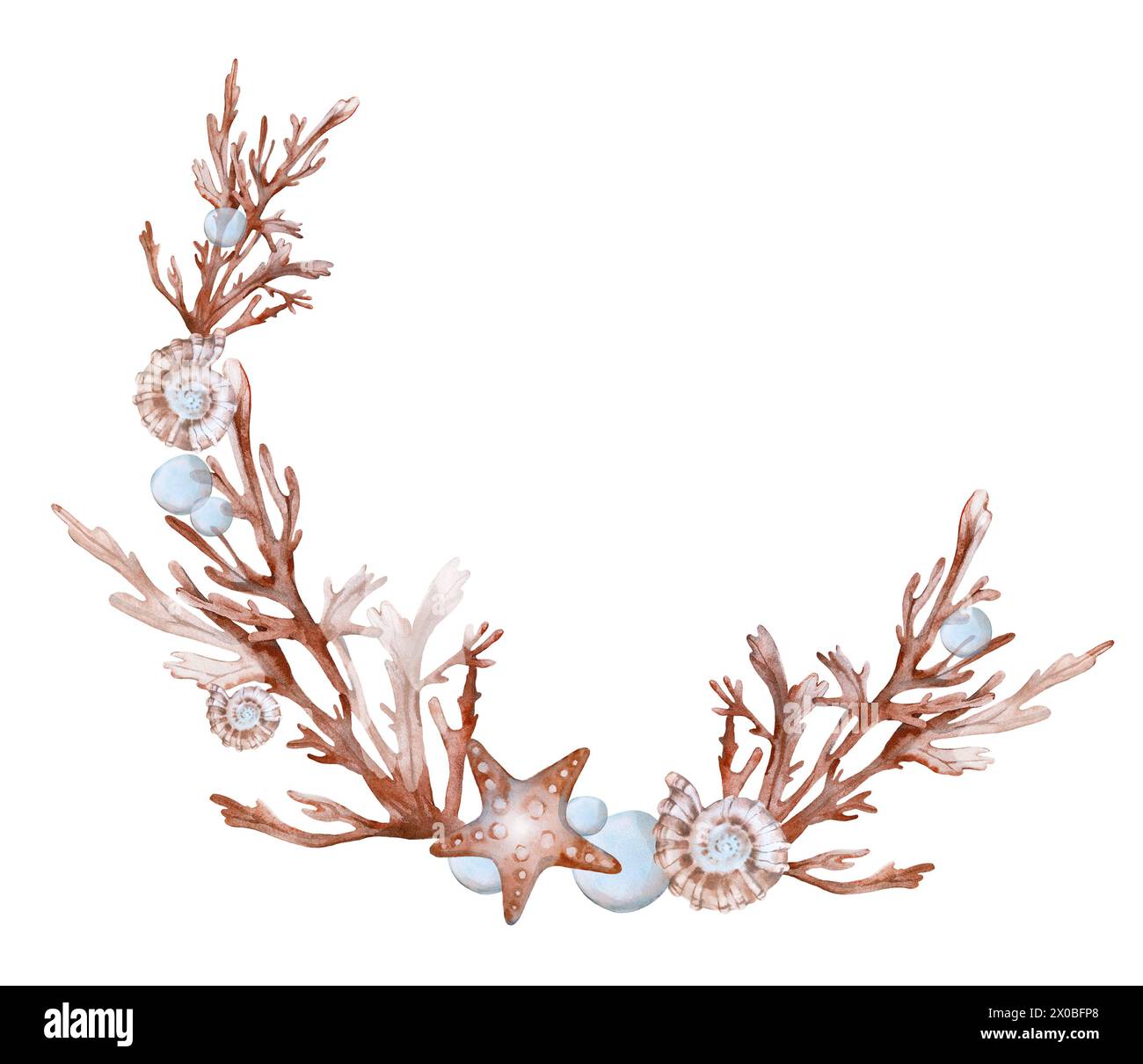 Composition with seaweed corals shells and starfish. Watercolor ...