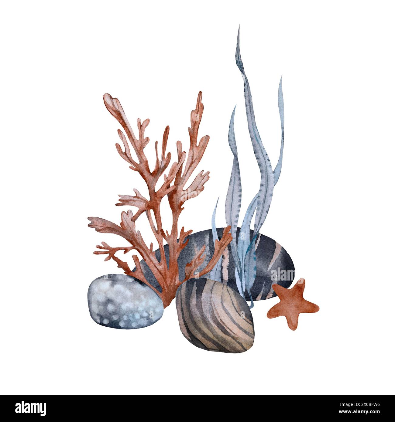 Composition with seaweed pebbles and starfish. Watercolor illustration ...