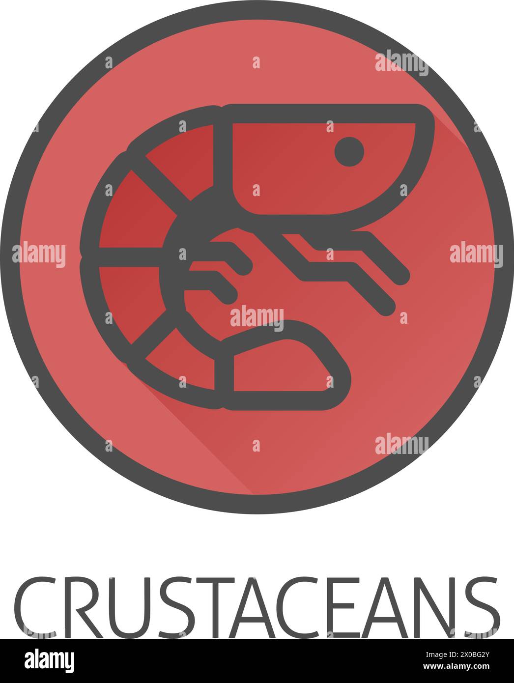 Prawn Shrimp Crustacean Food Allergen Allergy Icon Stock Vector Image