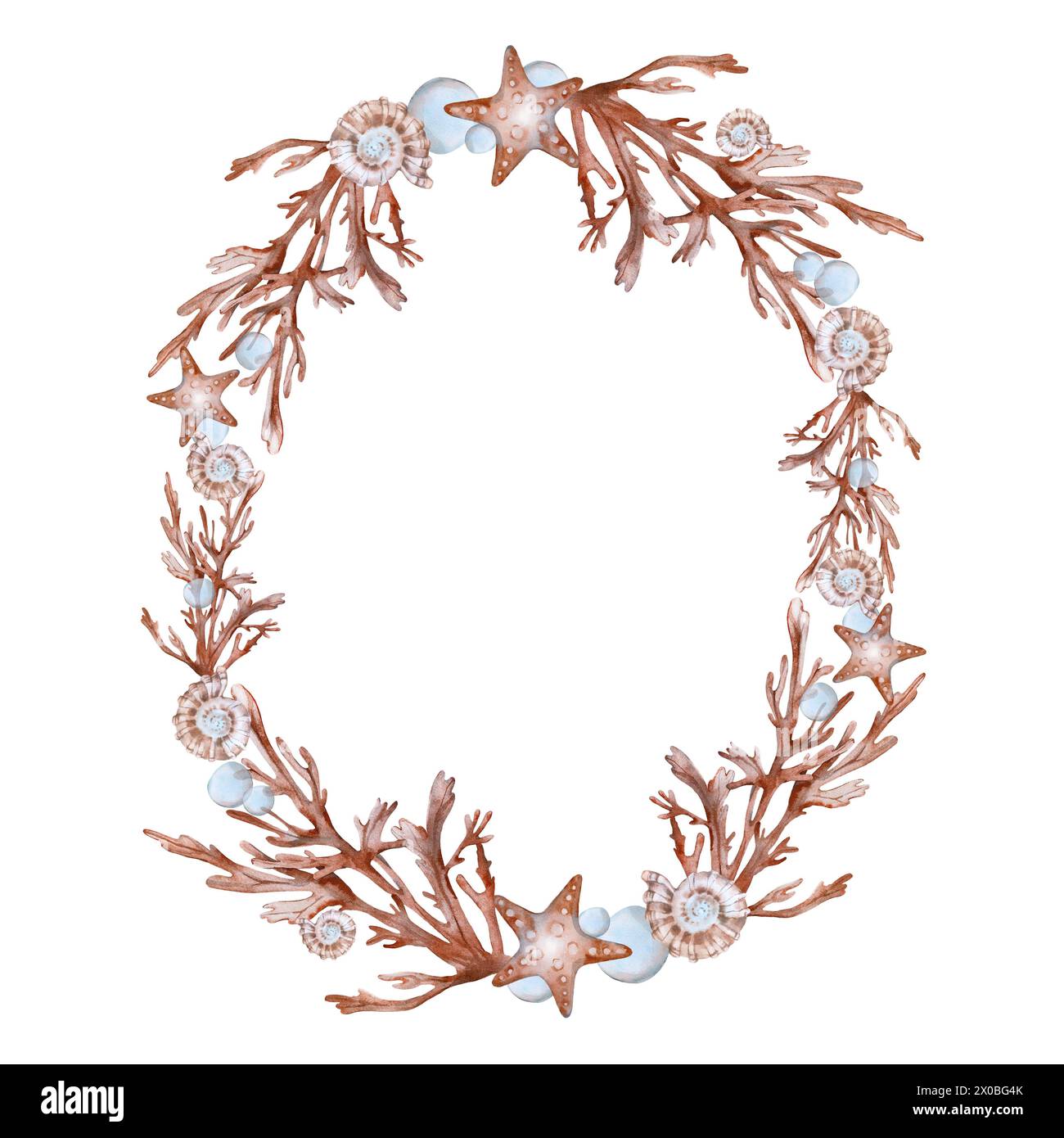 Frame with seaweed corals shells and starfish. Watercolor wreath hand ...
