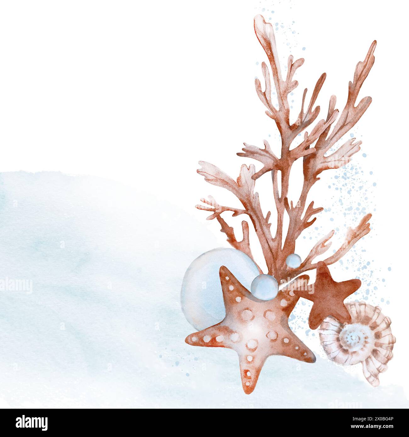 Composition with seaweed corals shells and starfish. Watercolor ...