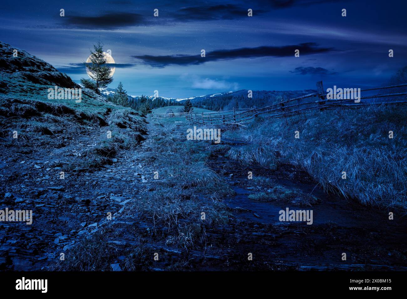 carpathian countryside scenery in spring at night. mountainous rural landscape with meadow behind the wooden fence in full moon light. fir forest on t Stock Photo