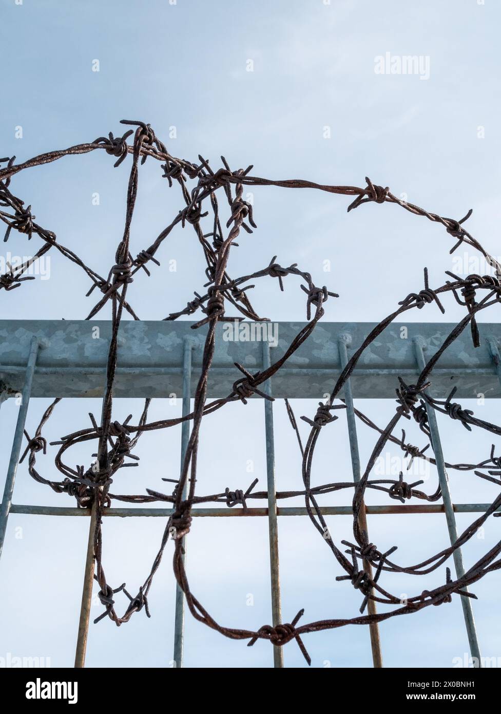 rusty old barbed wire on fence Stock Photo