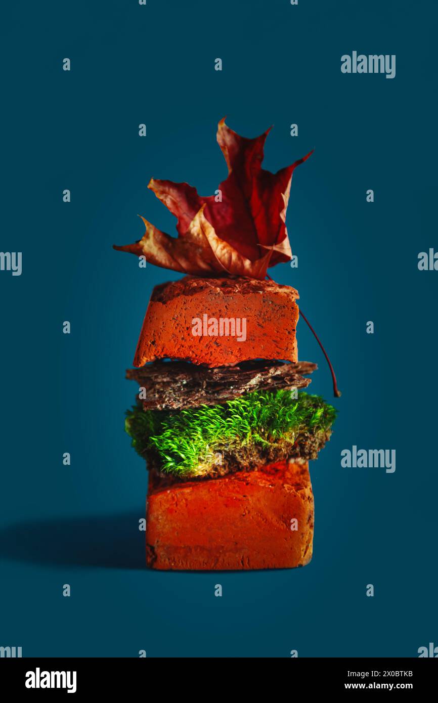 Weird forest burger made from brick, bark and moss. Blue background. Food shortage concept. Food made from trash. Stock Photo