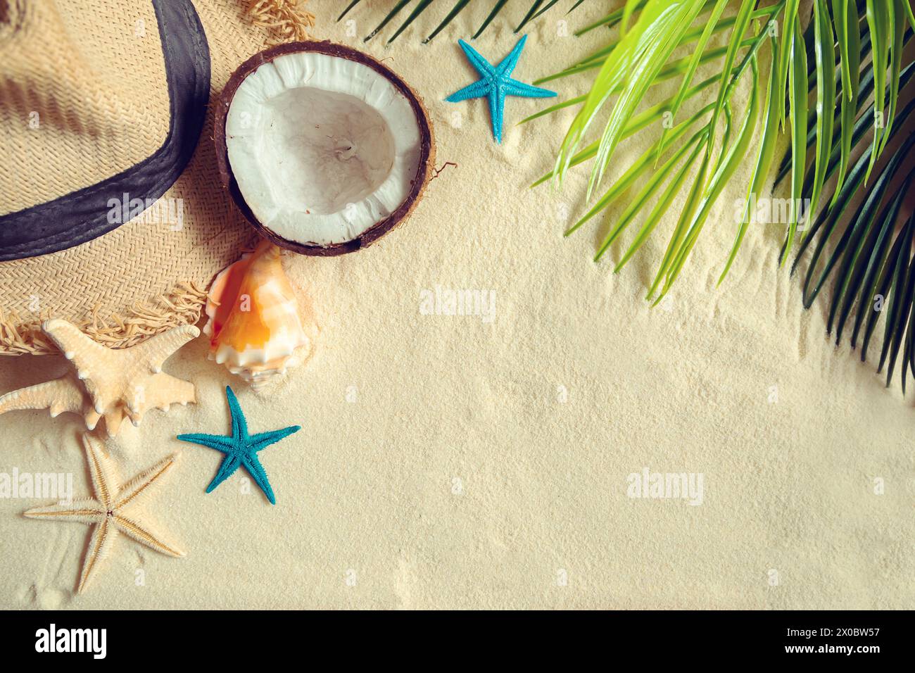 Straw hat, coconut, starfish and shells on white fine sand. Shadow from ...