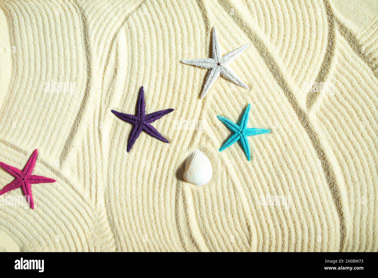 Colored starfish and shells on white fine sand. Summer background,  flat lay. Stock Photo