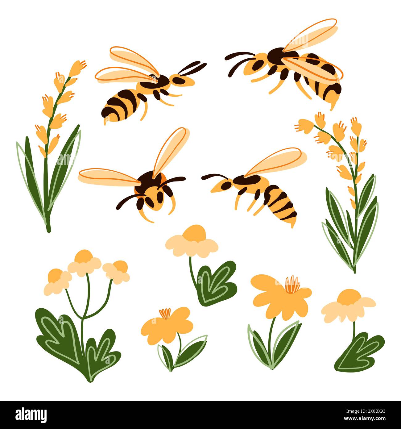 Cartoon set of hornet or wasp and flowers for design. Wasp from the back, in front, side view. Hand drawn colored trendy vector illustration. Stock Vector