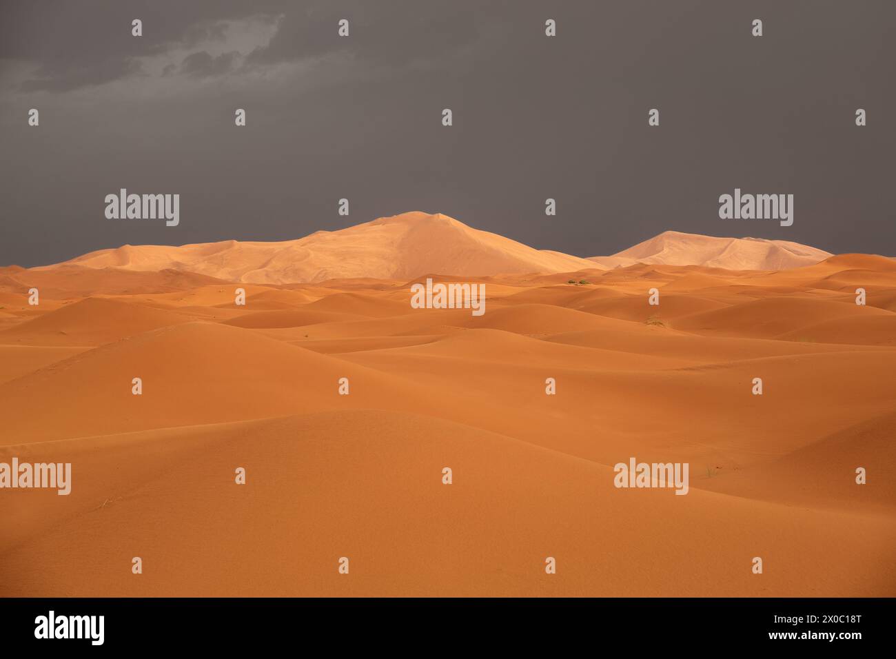 Sahara Desert in the storm, bad weather in Morocco, Africa Stock Photo ...