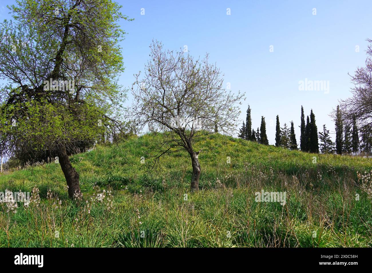 The burial mound, or tymbos, of the Plataeans killed during the famous battle of 490 BC Stock Photo