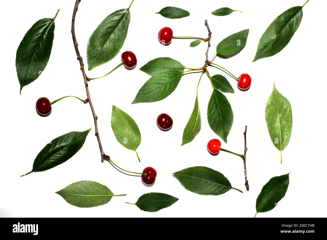Texture pattern created by ripe cherries and green leaves lying on ...