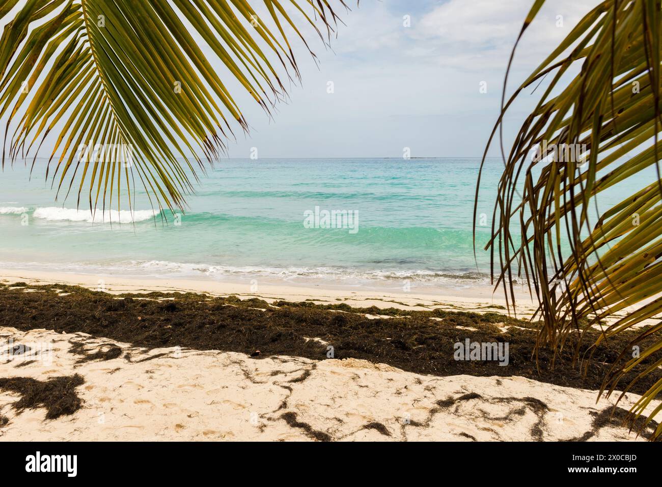 A beach with a palm tree in the foreground and a body of water in the background. The palm tree is partially visible, and the water is a beautiful sha Stock Photo