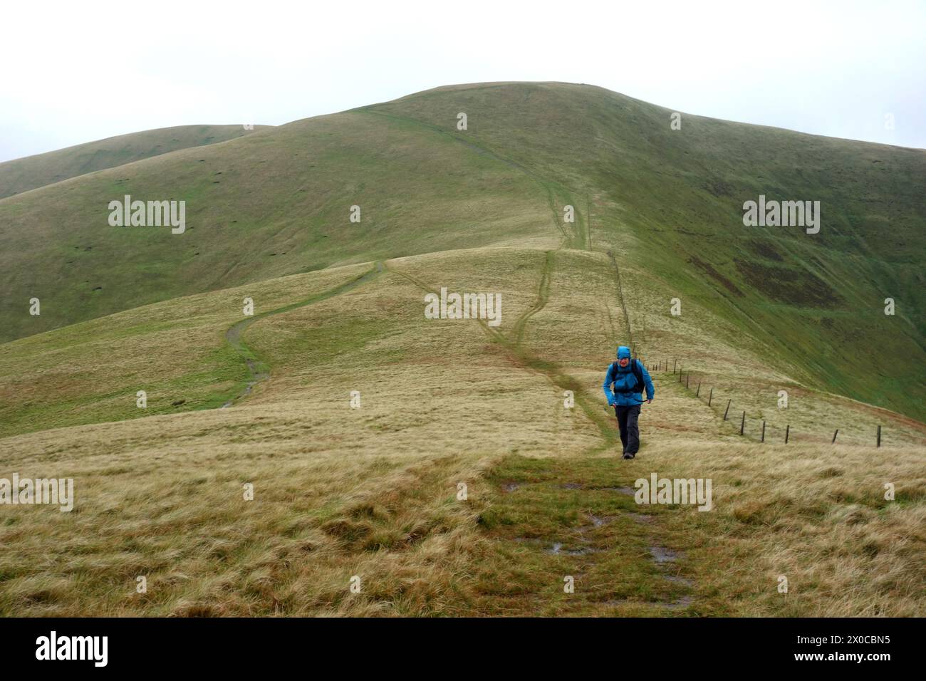 Man (Hiker) Walking on Rowantree Grains (a Col) from 'Calders' to 'Arant Haw' on the Howgill Hills in Yorkshire Dales National Park, England, UK. Stock Photo