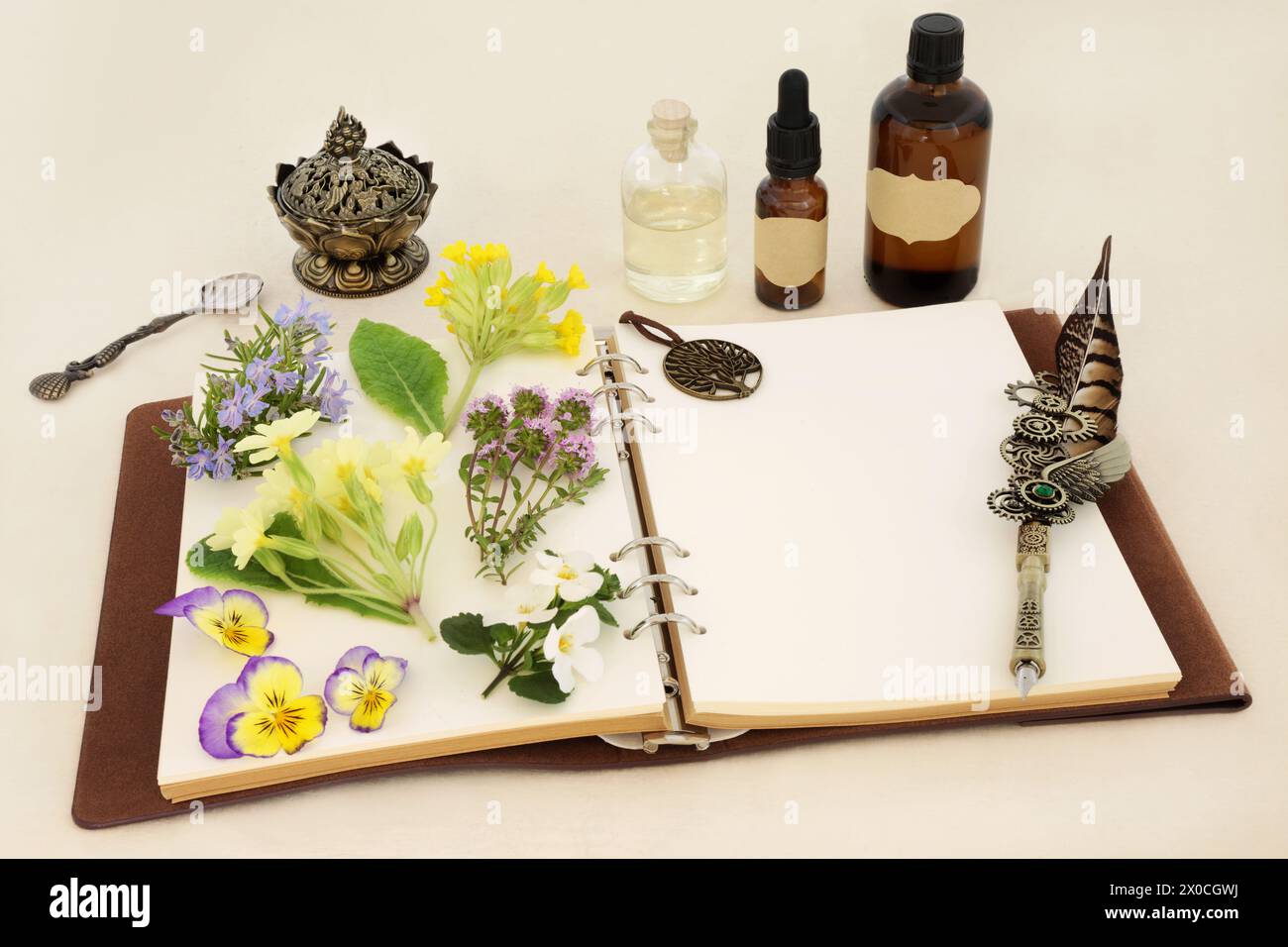 Homeopathic herbal medicine preparation with spring flowers, herbs and essential oil bottles with notebook and quill pen. Natural floral concept. Stock Photo