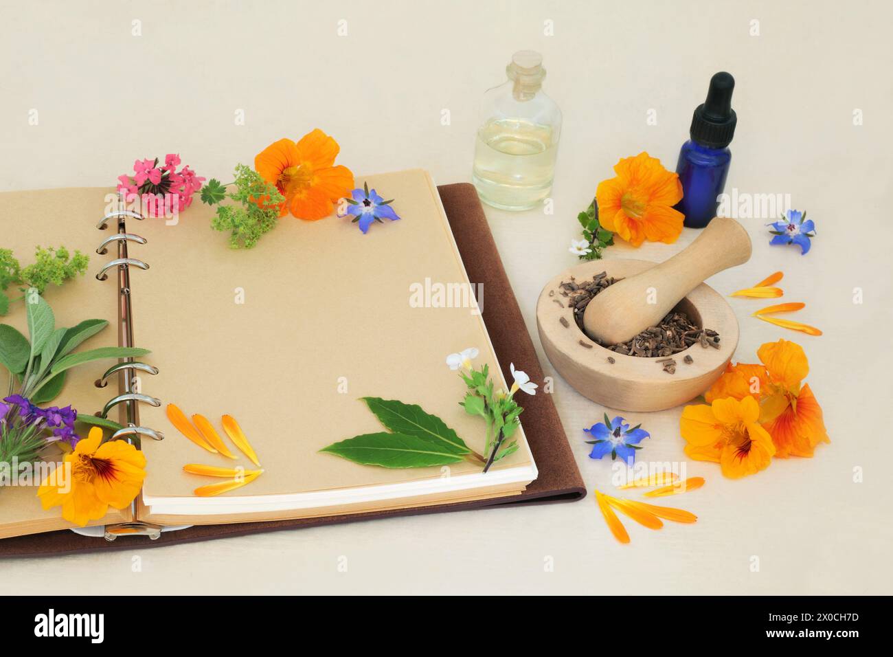 Flowers and herbs for naturopathic, medicinal and aromatherapy treatments. Herbal medicine ingredients for alternative remedies with recipe notebook. Stock Photo