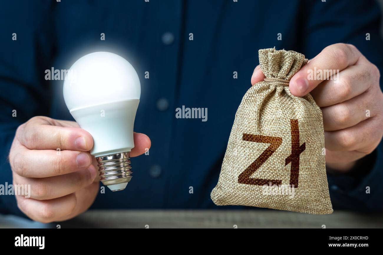 Polish zloty money bag and burning idea light bulb in the hands of a man. Investment in an idea. Offering financial incentives to enhancing energy eff Stock Photo