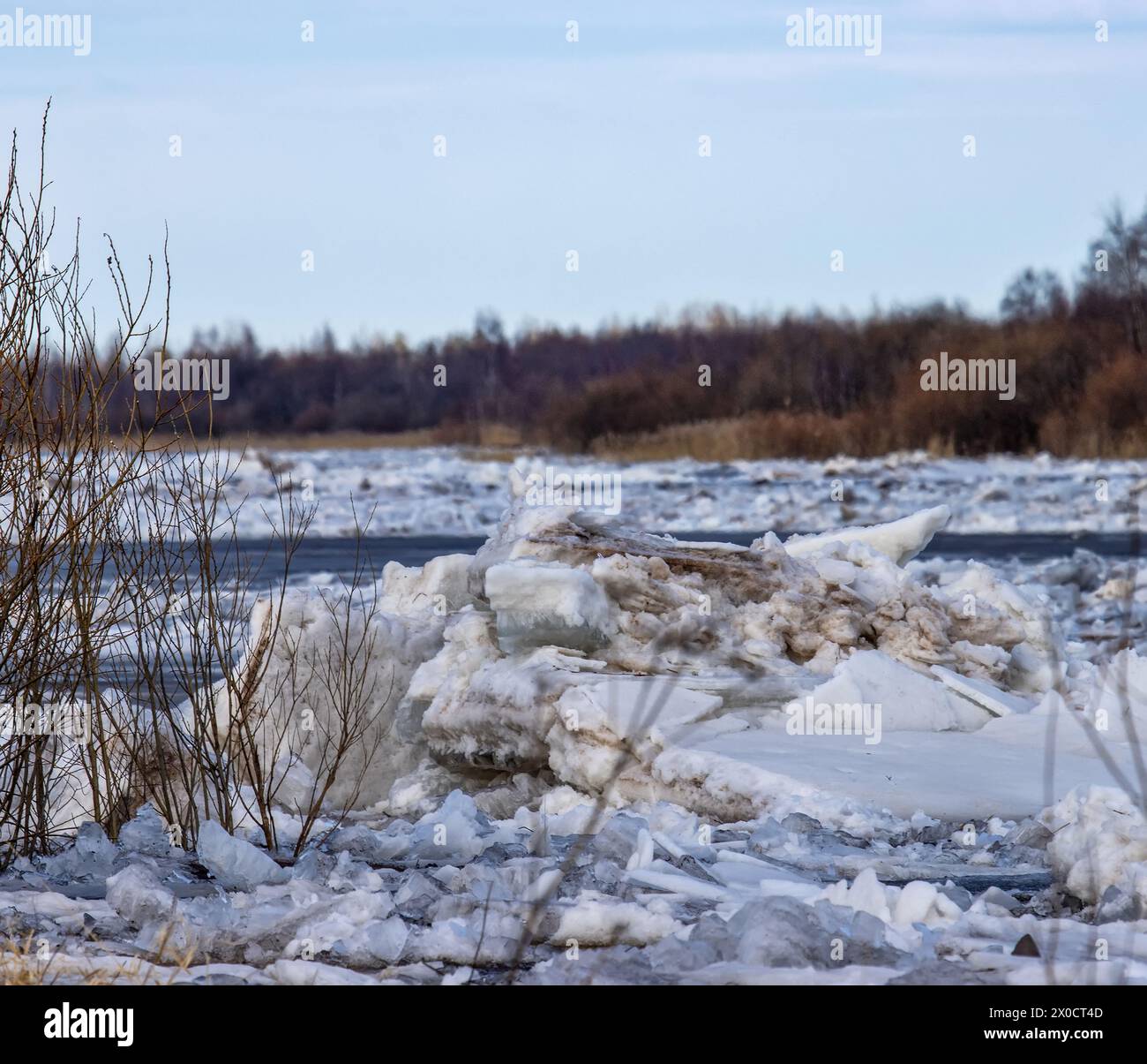A landscape of an ice drift (ice-boom, debacle) on the northern river, flood plain forest. Rivers of the Lake Ladoga basin, Northeast Europe Stock Photo