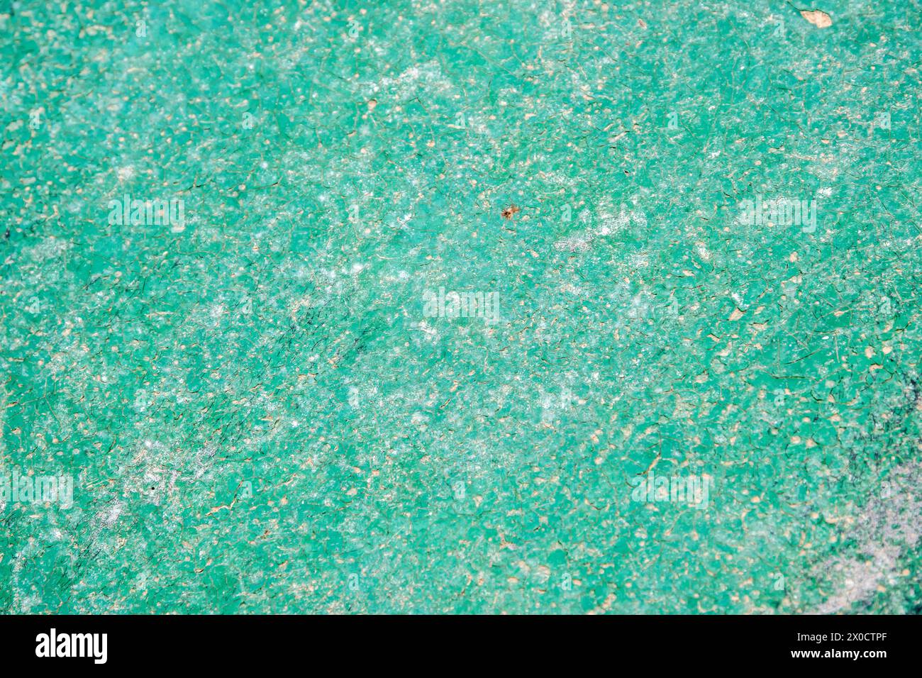 Weathered aged cracked plastic surface closeup as green grunge background Stock Photo